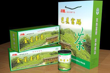招商引资